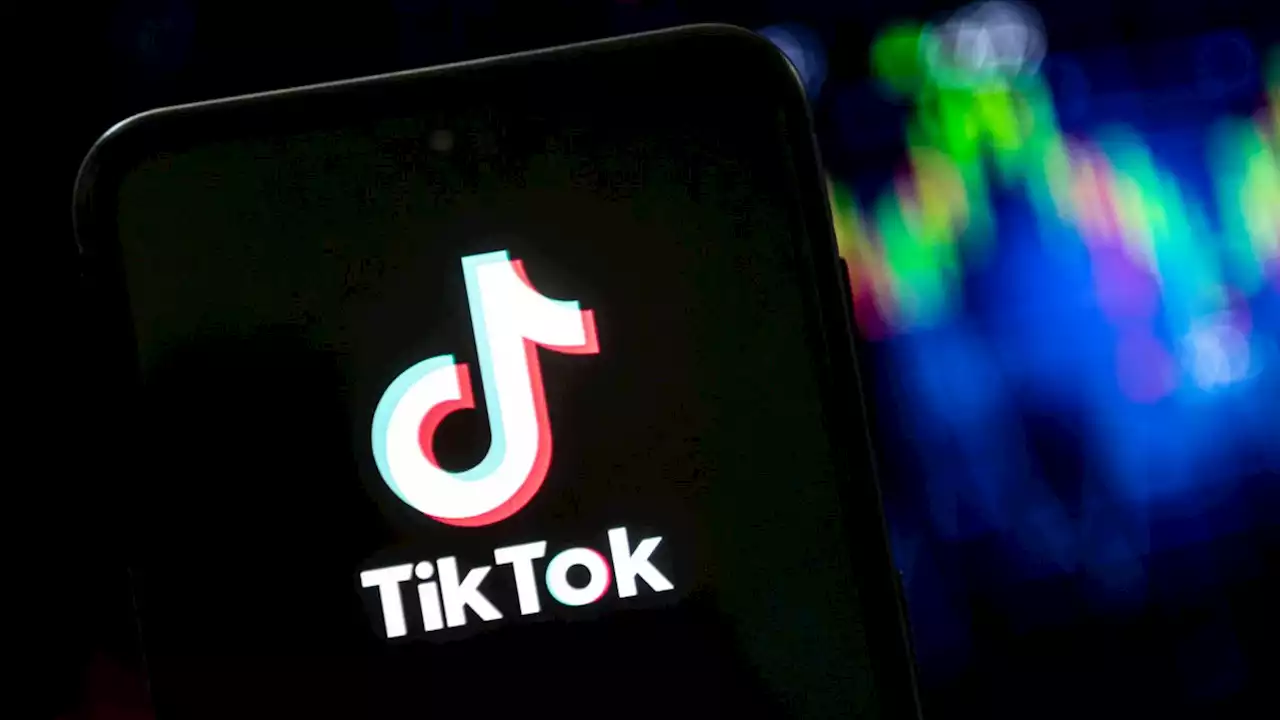 Maine Man Goes Viral for Continuously Apologizing to His Wife on TikTok