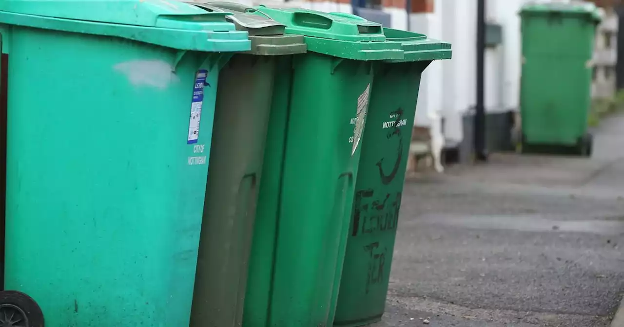 Bin changes could see new recycling and food waste collections