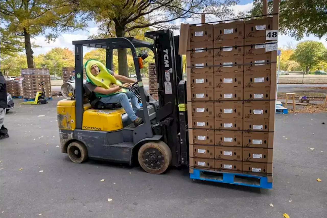 They planned a three-day giveaway. But Philadelphians claimed 300,000 free avocados in less than 3 hours.