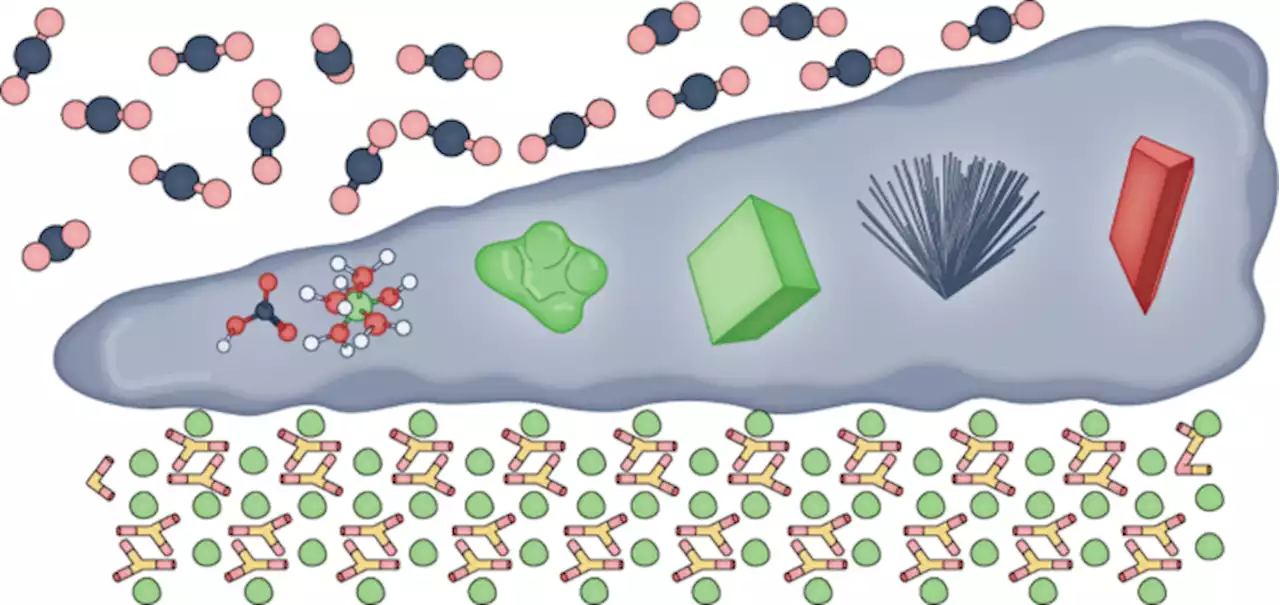 Molecular-scale mechanisms of CO2 mineralization in nanoscale interfacial water films - Nature Reviews Chemistry