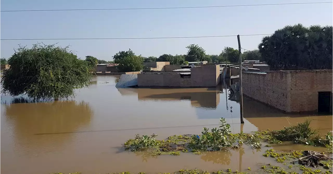 Chad declares state of emergency as floods affect 1 million people