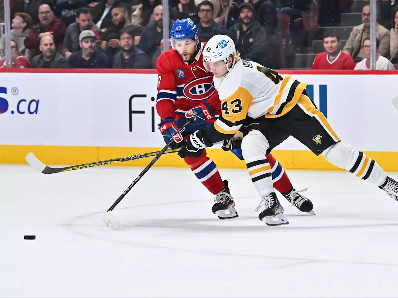 NHL Live Stream: How to Watch the 2022-23 Hockey Season Online