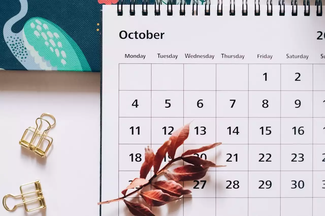 What’s on where: Things to do in Sudbury