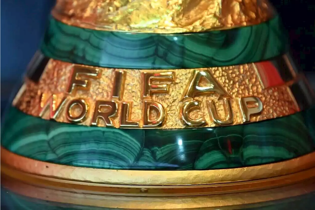 How do you feel about the Qatar World Cup?