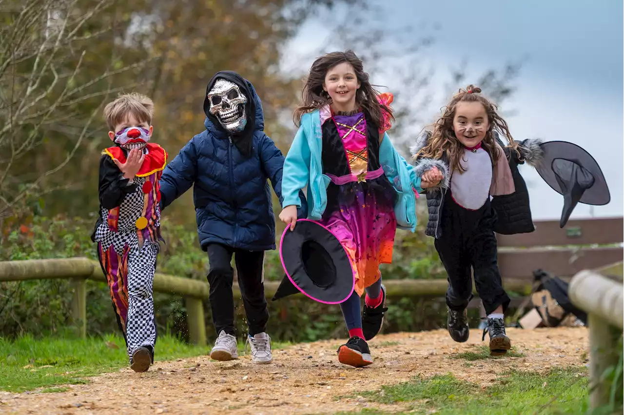 Halloween 2022: events near you, from ghost trains in Lancashire to magic school in Esssex