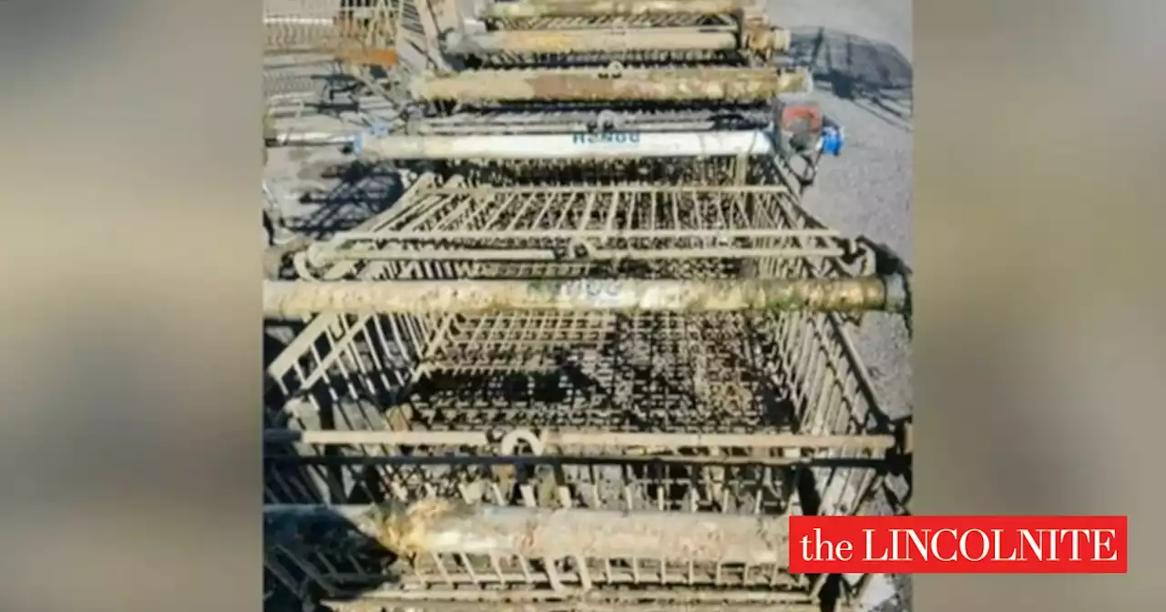 Over 50 supermarket trolleys dragged out of Grimsby river