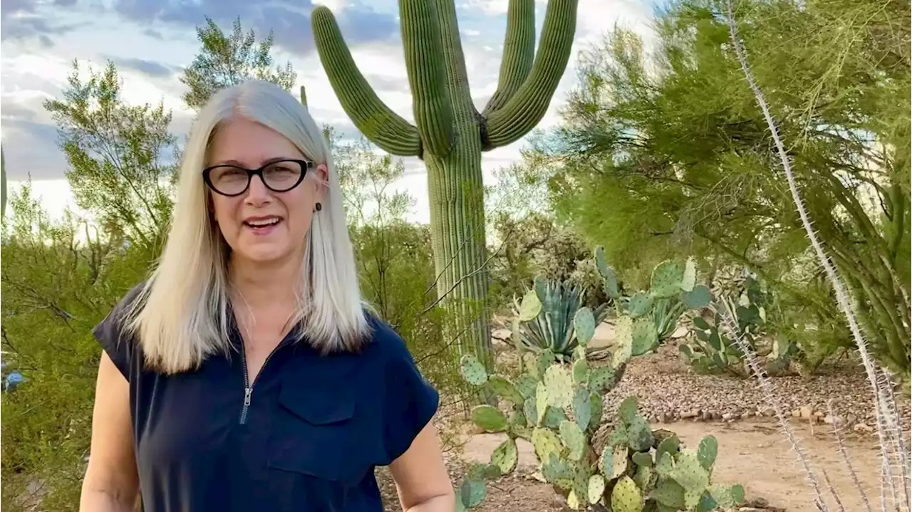 This award-winning Tucson author finds solace in the desert