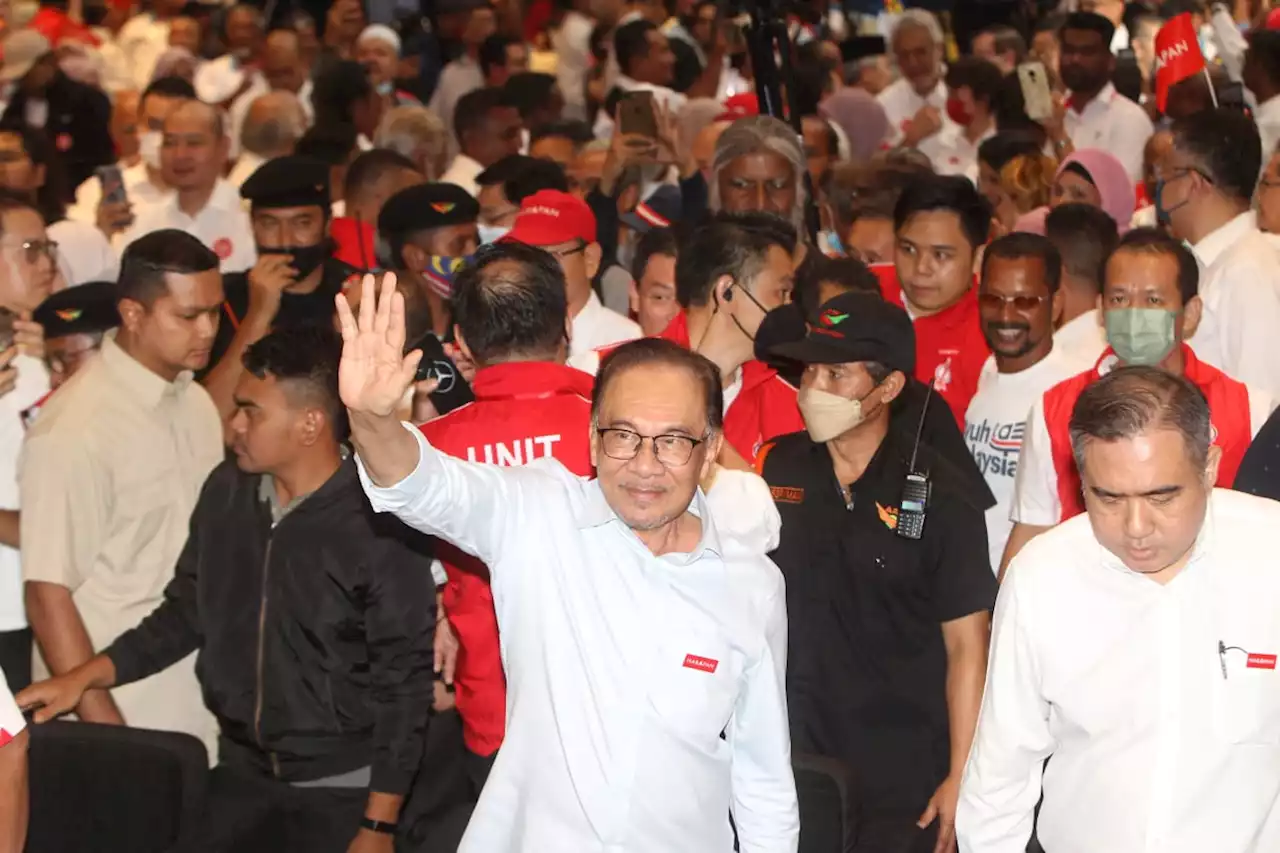 Anwar sah lawan Peja di Parlimen Tambun