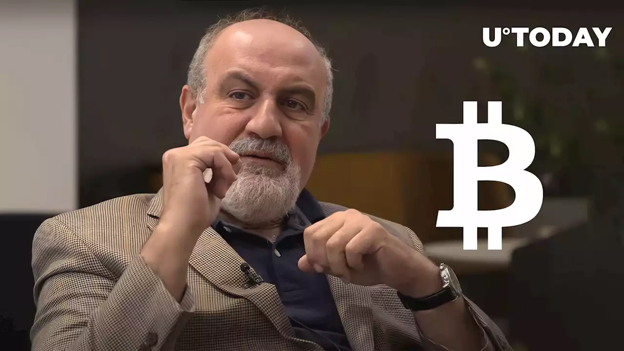 “Black Swan” Author Regrets Not Shorting Bitcoin