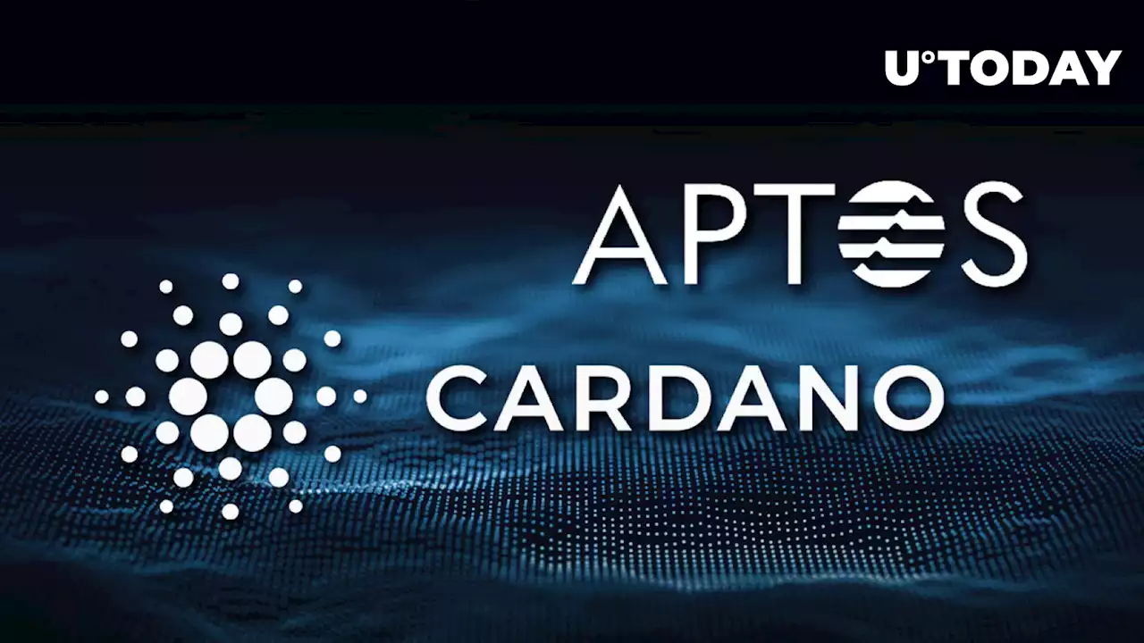 Cardano DEX & 'Solana Killer' Aptos Announce Major Collaboration: Details