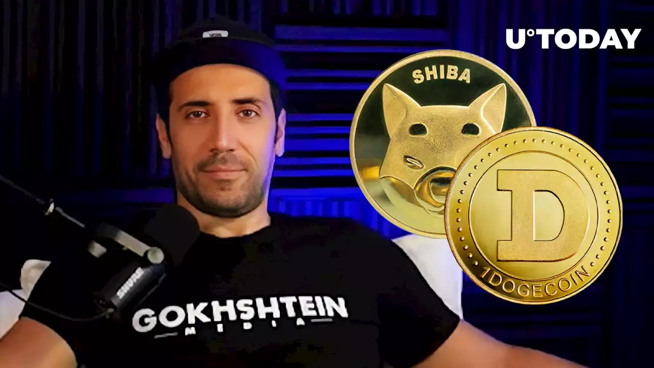 DOGE and SHIB to Go Parabolic in Next Bull Run, David Gokhshtein Thinks