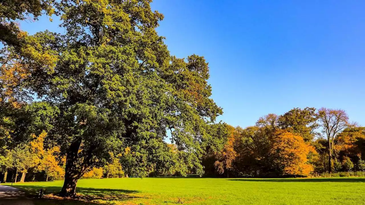 spazieren gehen in bremen - die schönsten orte im herbst