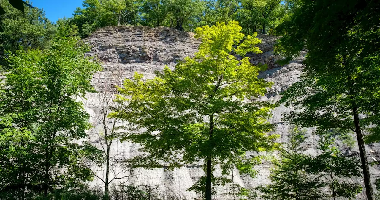 'Remarkable and special place' — Euclid Creek Reservation set to expand with greenway installment next summer