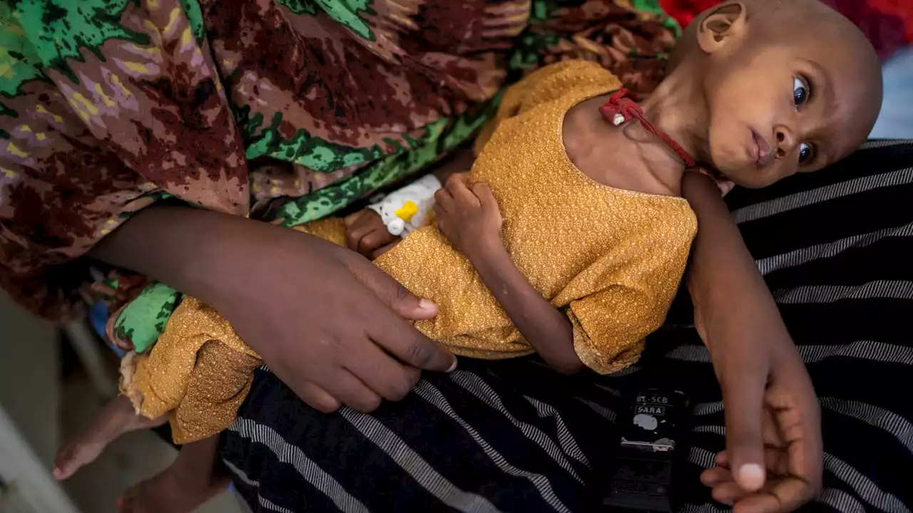 East Africa hunger crisis likely to lead to 1 death every 36 seconds, Oxfam warns