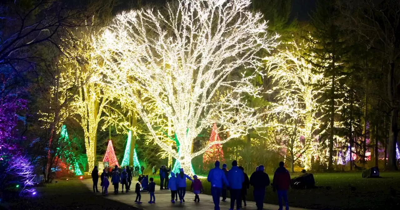 Winterlights returning to Newfields in November