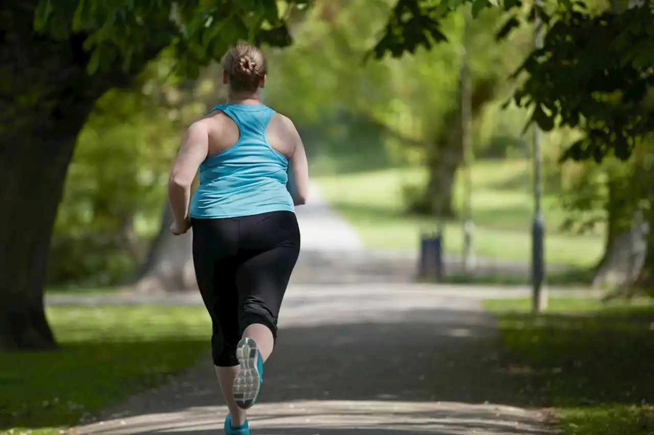 Obesity risk in middle-aged women linked to air pollution in new study