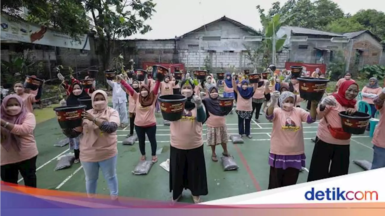 Relawan Ibu-ibu Ganjar Tanam 400 Pohon Cabai di Lubang Buaya Jaktim