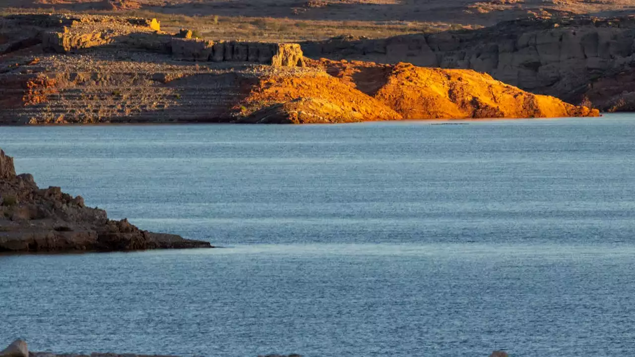 Nevada boy dies from brain-eating amoeba that might have infected him in Lake Mead