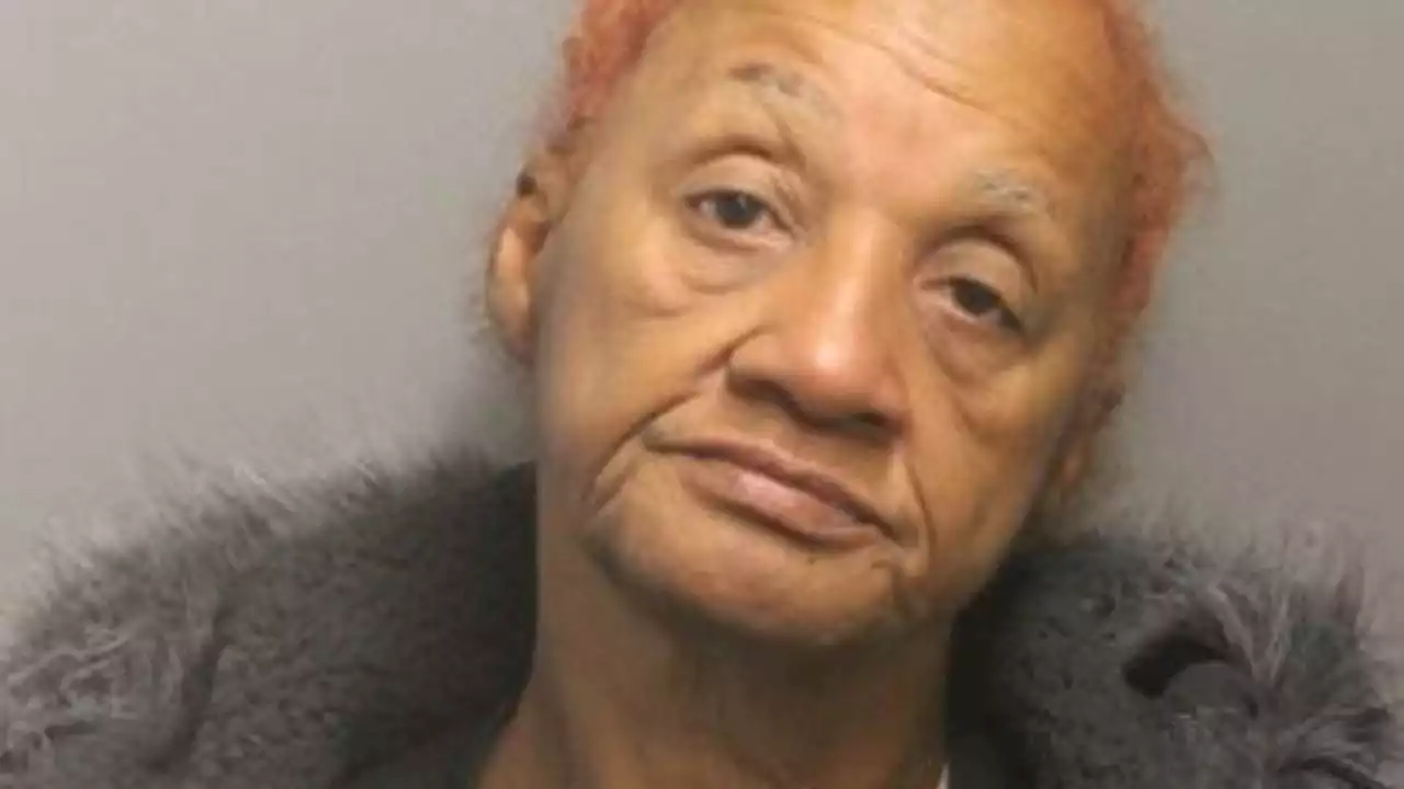 Chicago woman charged with beating 87-year-old to death at senior living apartment building