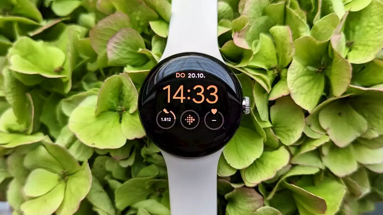 Google Pixel Watch im Test: Eine Wette auf die Zukunft