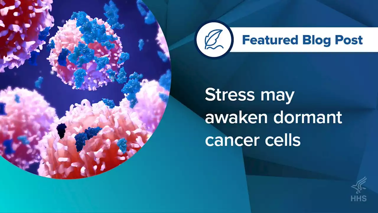 Stress may awaken dormant cancer cells