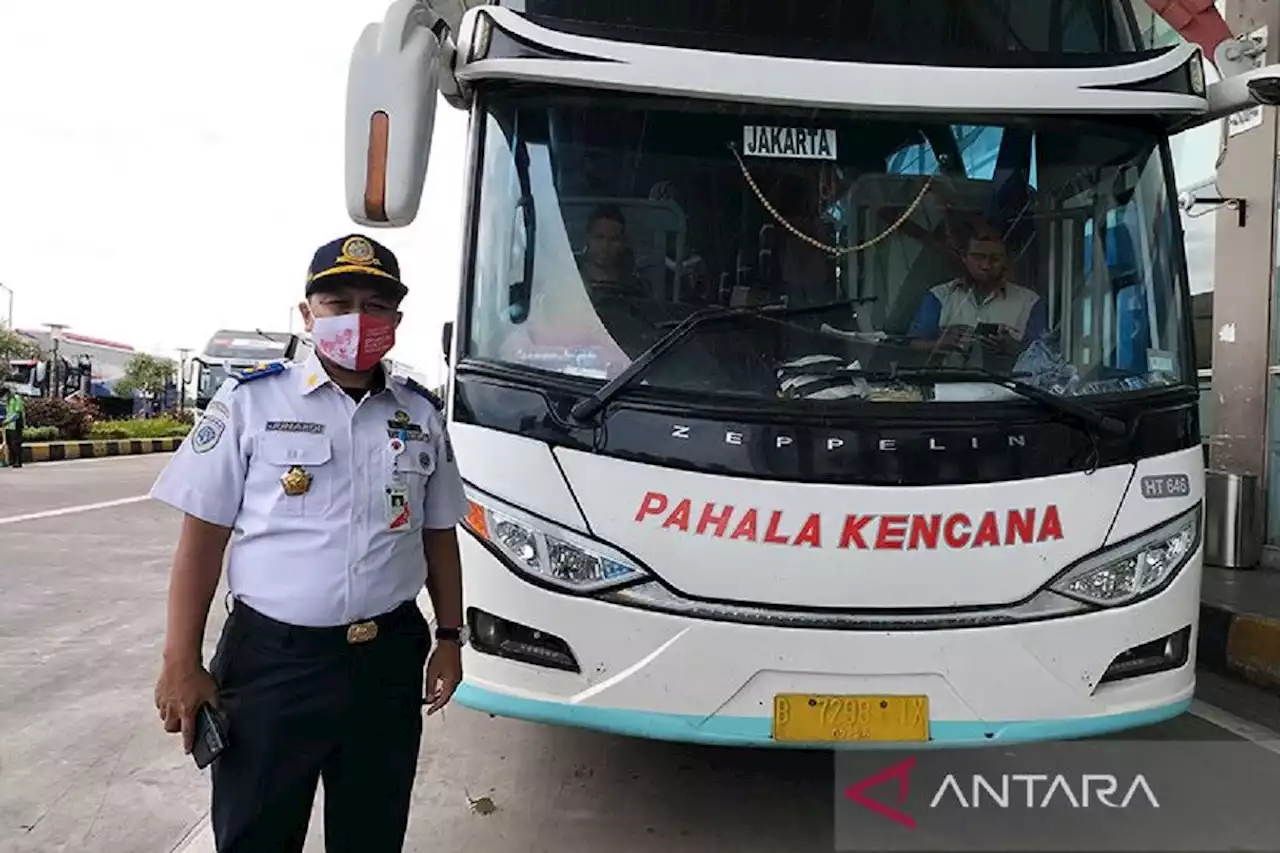 Jadwal & Tiket Bus AKAP Terminal Mengwi Bali ke Pulau Jawa Jumat (21/10), Lengkap!