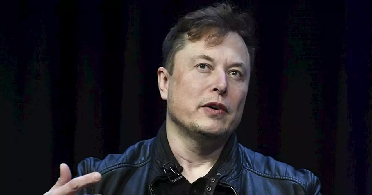 Elon Musk plans to cut 75% of Twitter workforce, report says