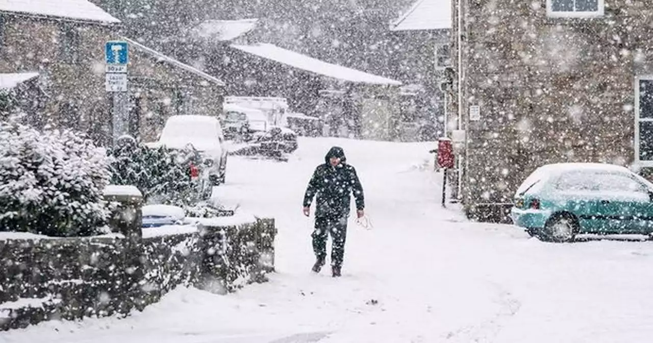 Bookies slash odds of first UK White Christmas in 12 years