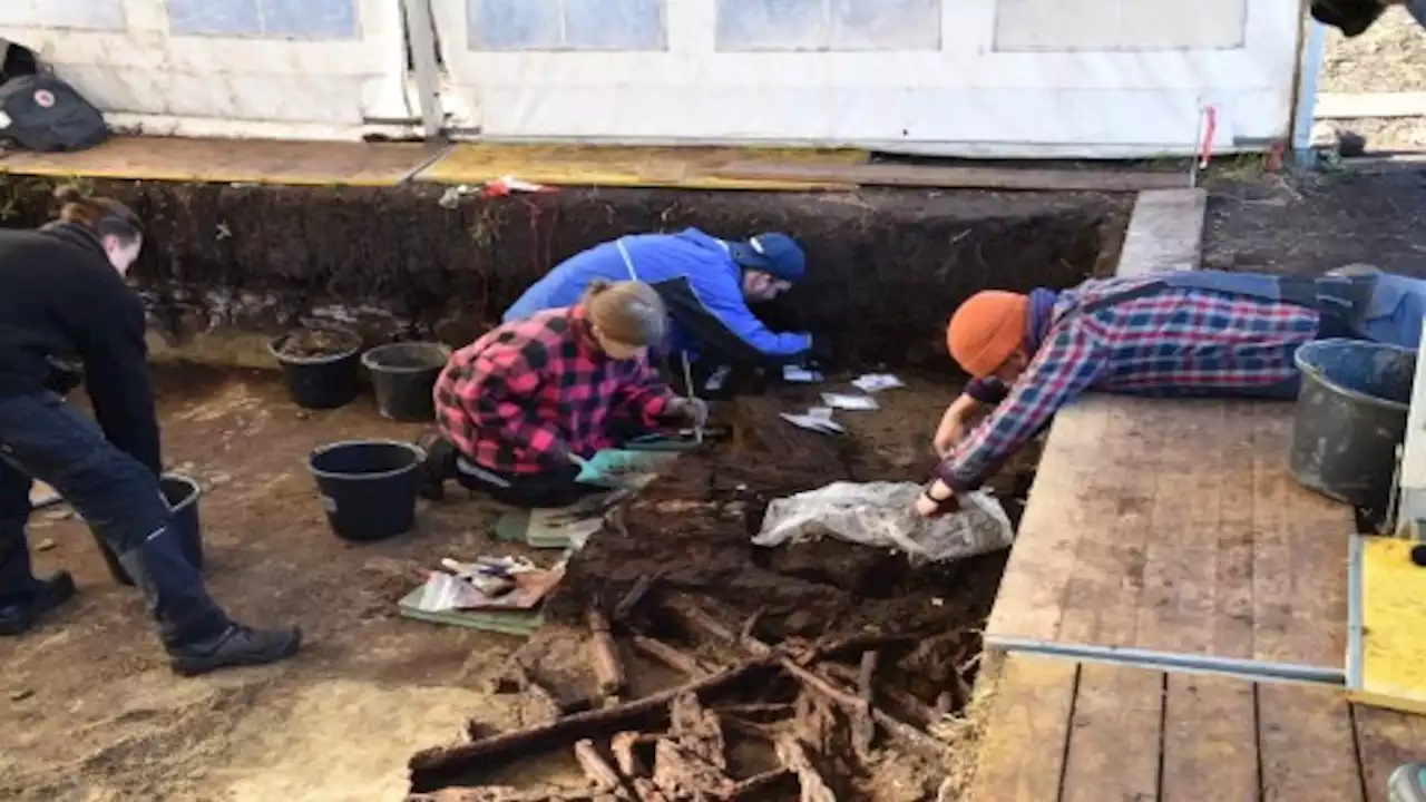 Human 'bog bones' discovered at Stone Age campsite in Germany