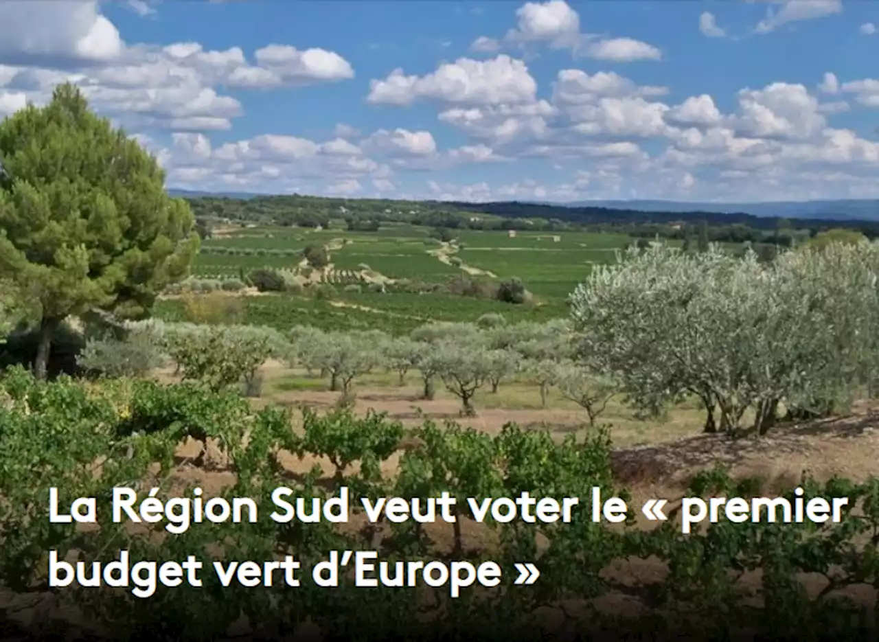 La Région Sud veut voter le « premier budget vert d’Europe »