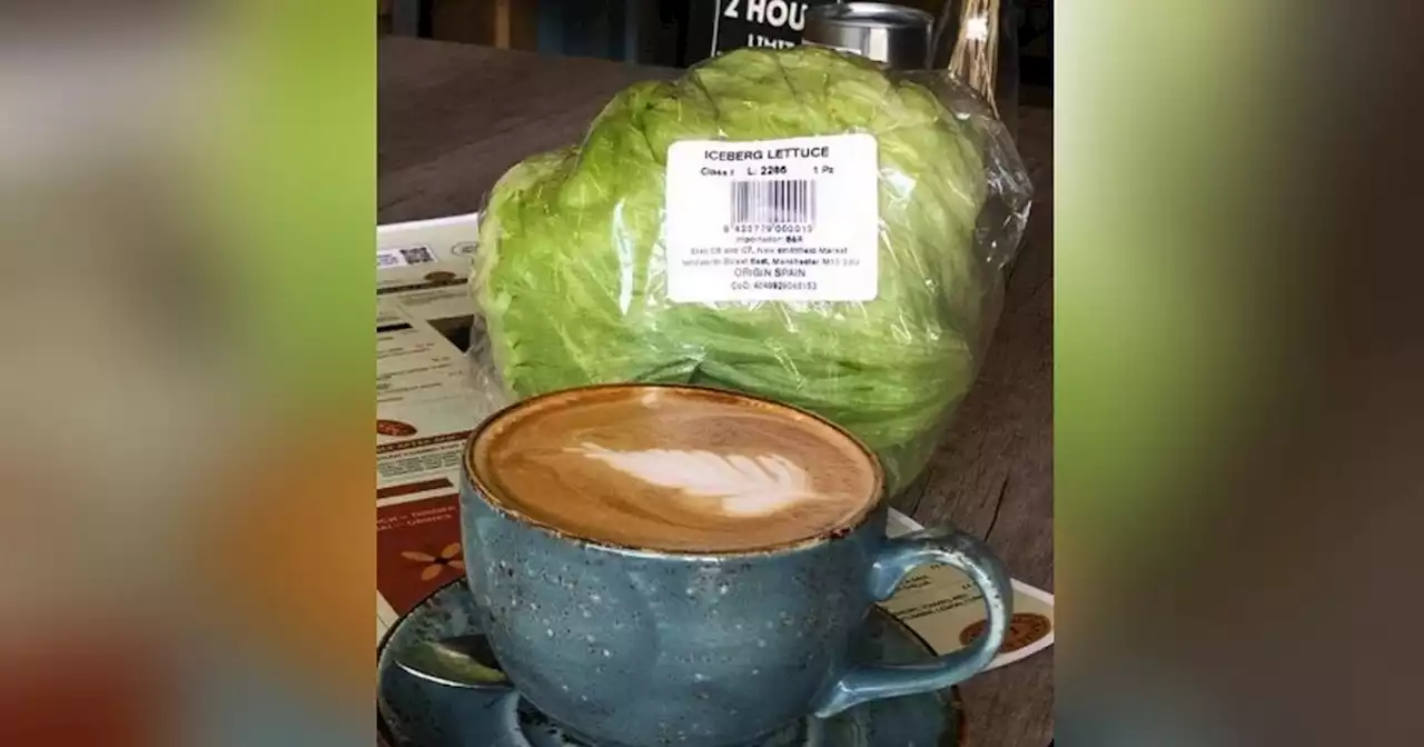 Cafe offers a lettuce with every coffee as a cheeky dig at Liz Truss