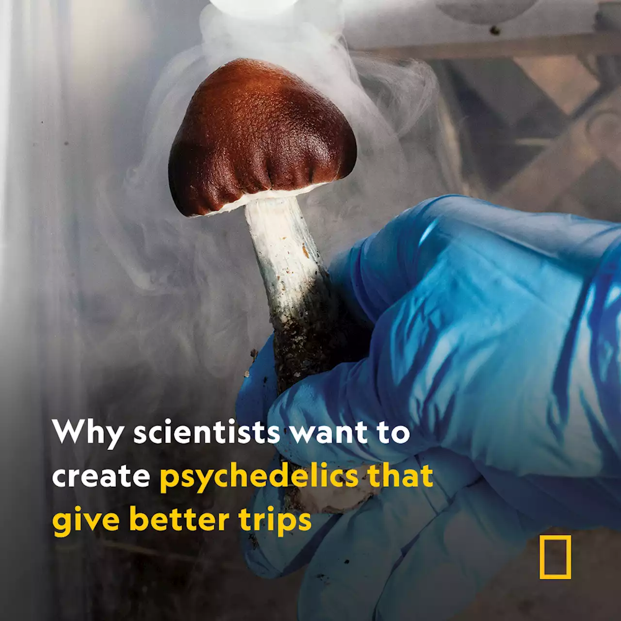 Why scientists want to create psychedelics that give better trips