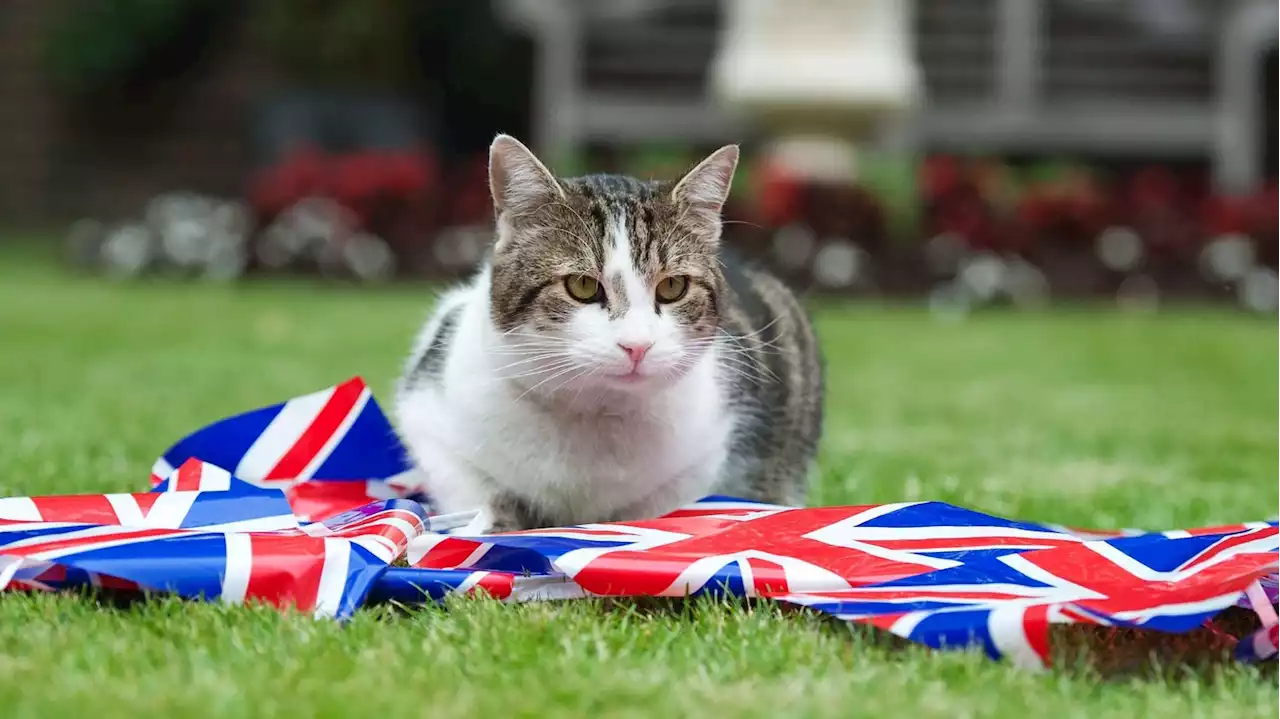 Larry the Cat outlasts fourth U.K. prime minister