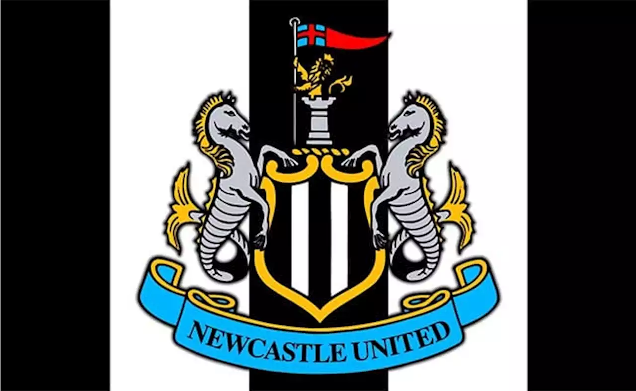 Newcastle United friendly announced in December during Qatar World Cup