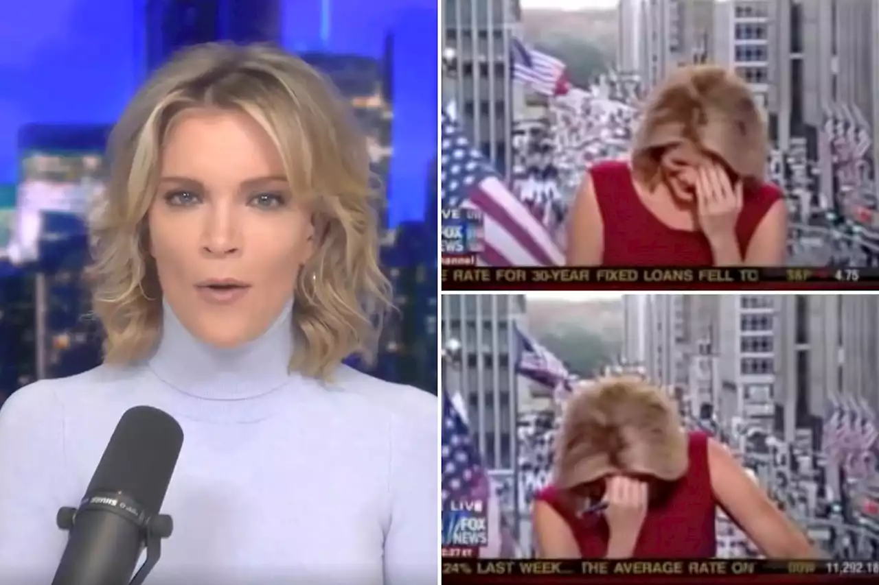 Megyn Kelly giggled uncontrollably after ‘farting’ incident during Fox News interview