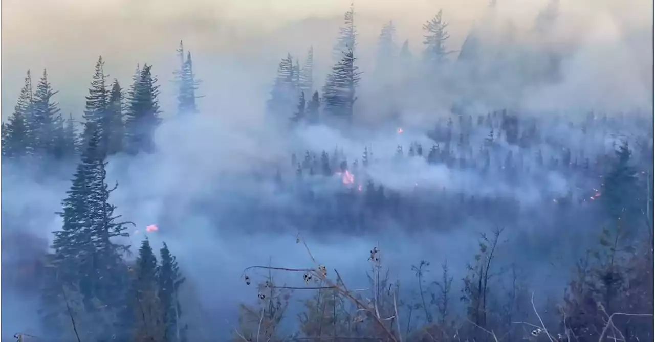 Wildfire smoke chokes U.S. Northwest, residents don masks