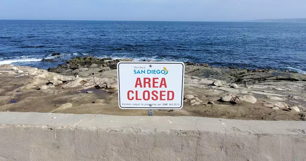 San Diego faces Nov. 1 deadline for long-term management plan at Point La Jolla