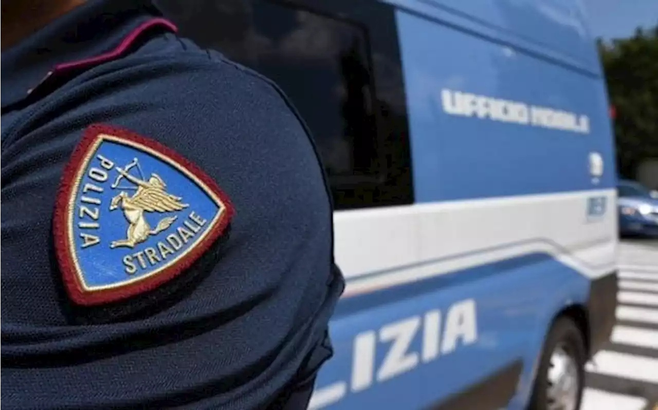 Bergamo, compravendita illegale di cuccioli di cane: arrestati