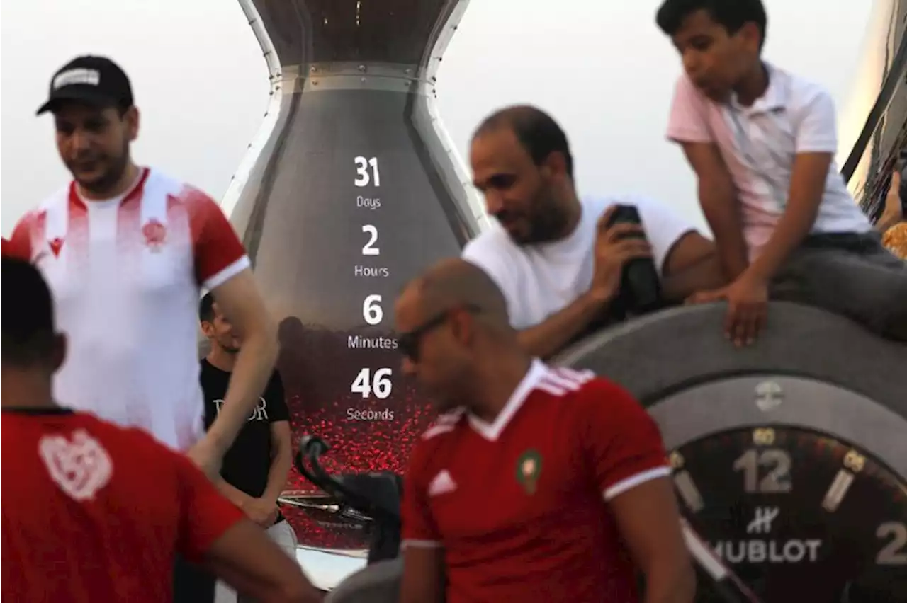 Soccer-Fans swerve Qatar World Cup that doesn't make them dream