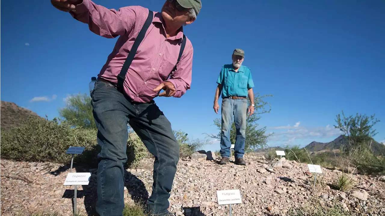 Ceremony to mark restoration at Ironwood Forest National Monument