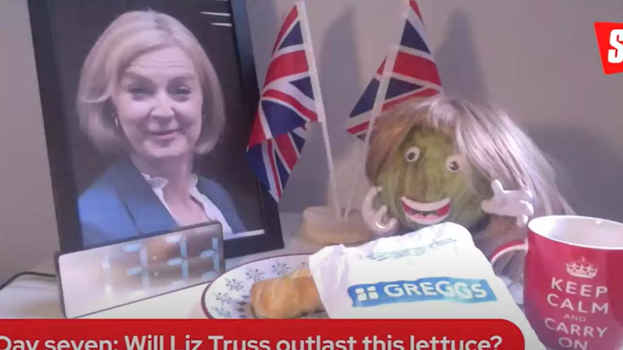 Liz Truss vs. lettuce: Vegetable outlasts British PM in tabloid's livestream competition