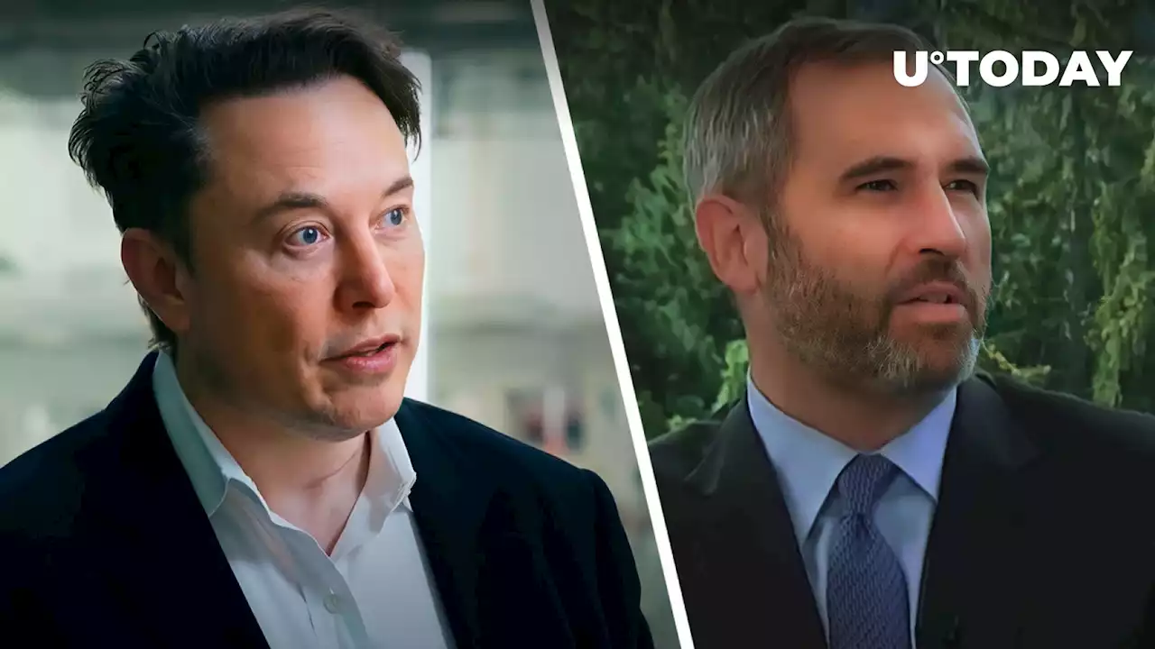 Elon Musk Comments on Ripple CEO's Brutal Statement About SEC