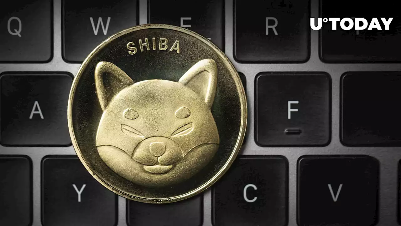 Shiba Inu (SHIB) Price Approaches Oversold Levels per This Indicator