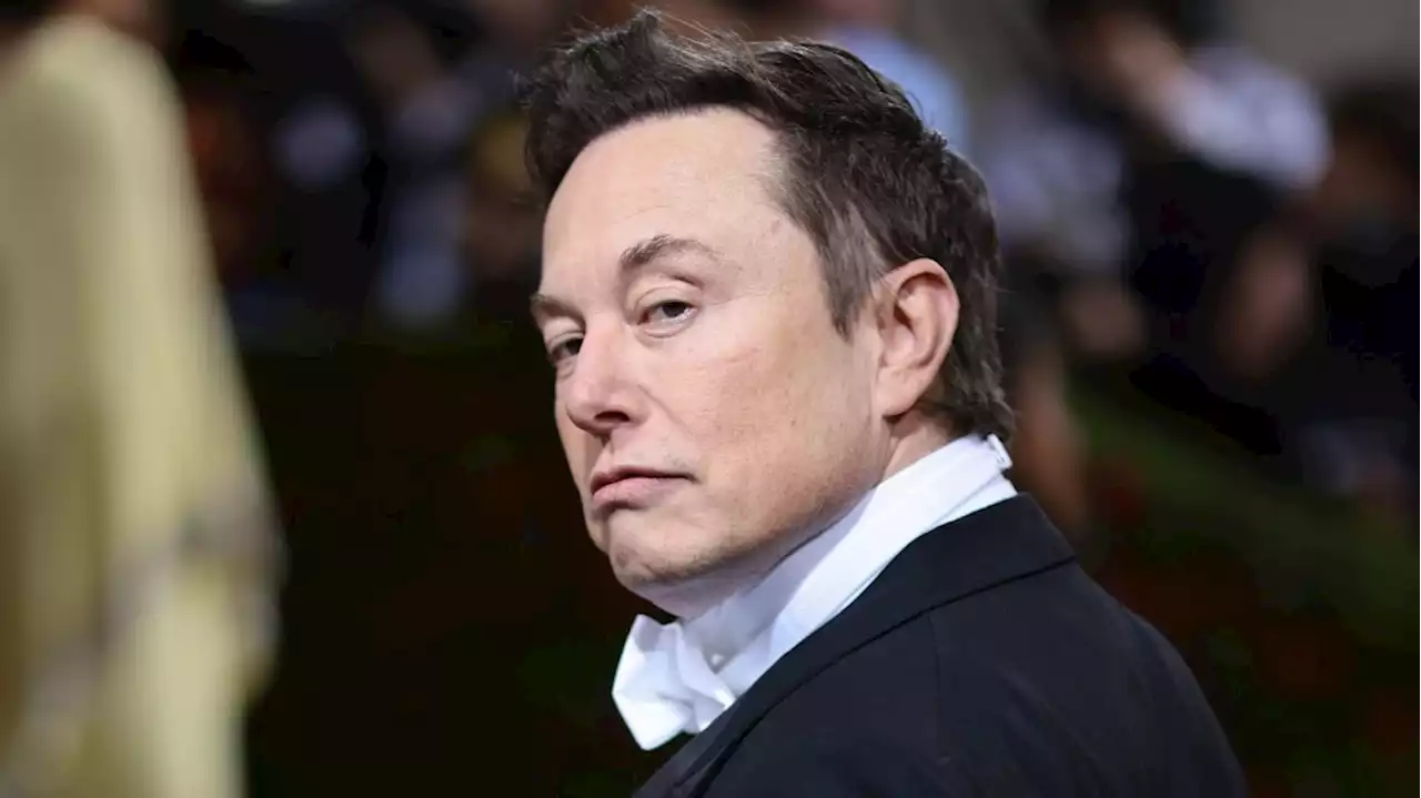 Elon Musk Plans to Lay Off Nearly 75% of Twitter Employees, or 5,500 Staffers (Report)