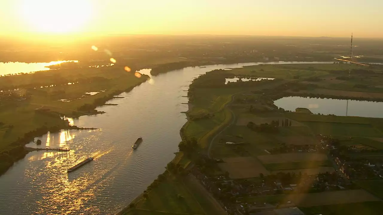 Nach Trockenheit und Niedrigwasser: Rhein hat sich ökologisch erholt