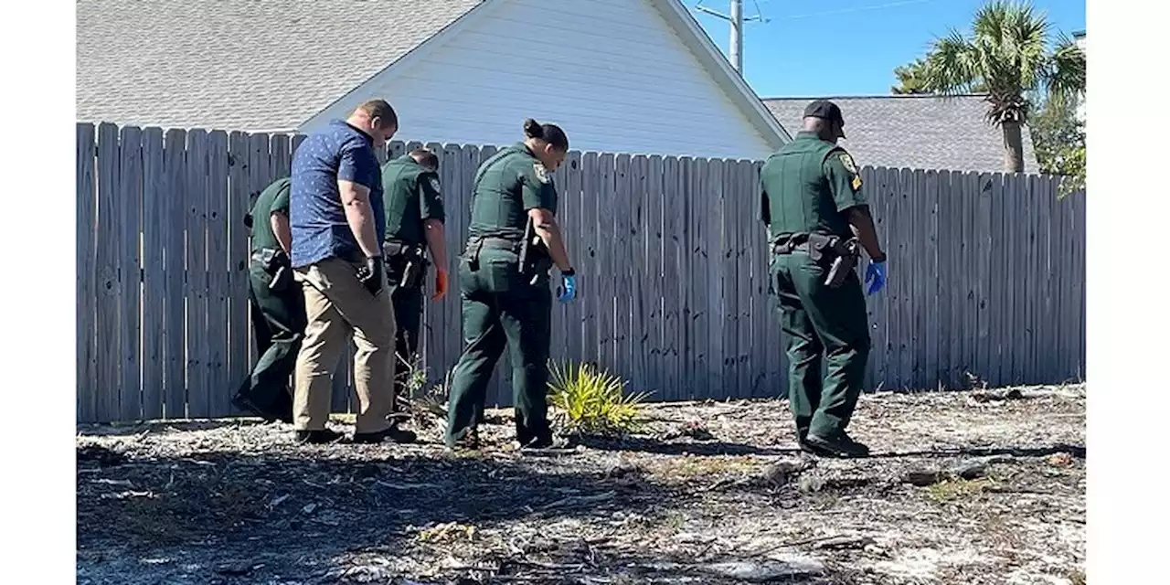 Skeletal remains found in wooded area in Walton County