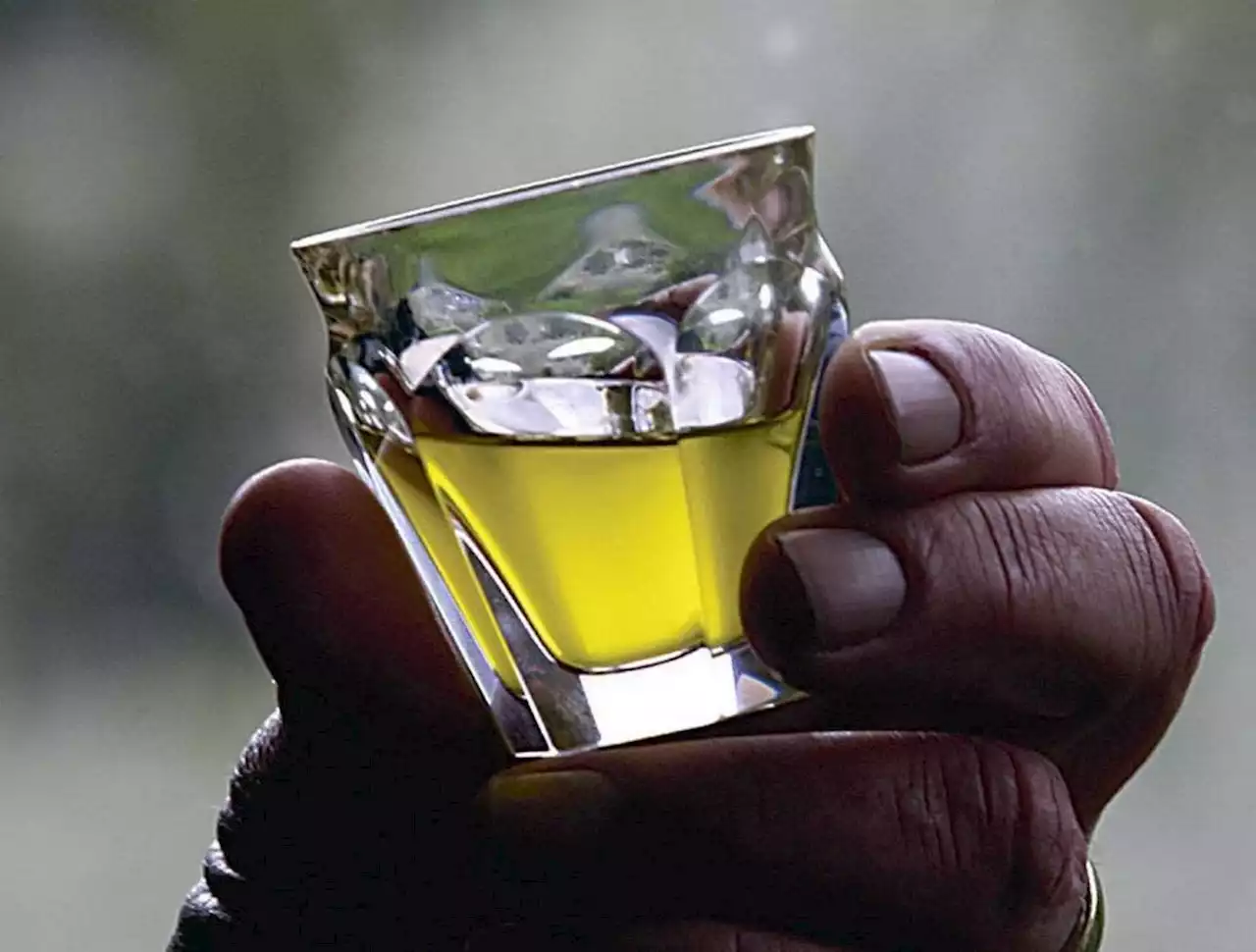 Extra virgin olive oil can cut your risk of dying from heart disease, cancer, study shows