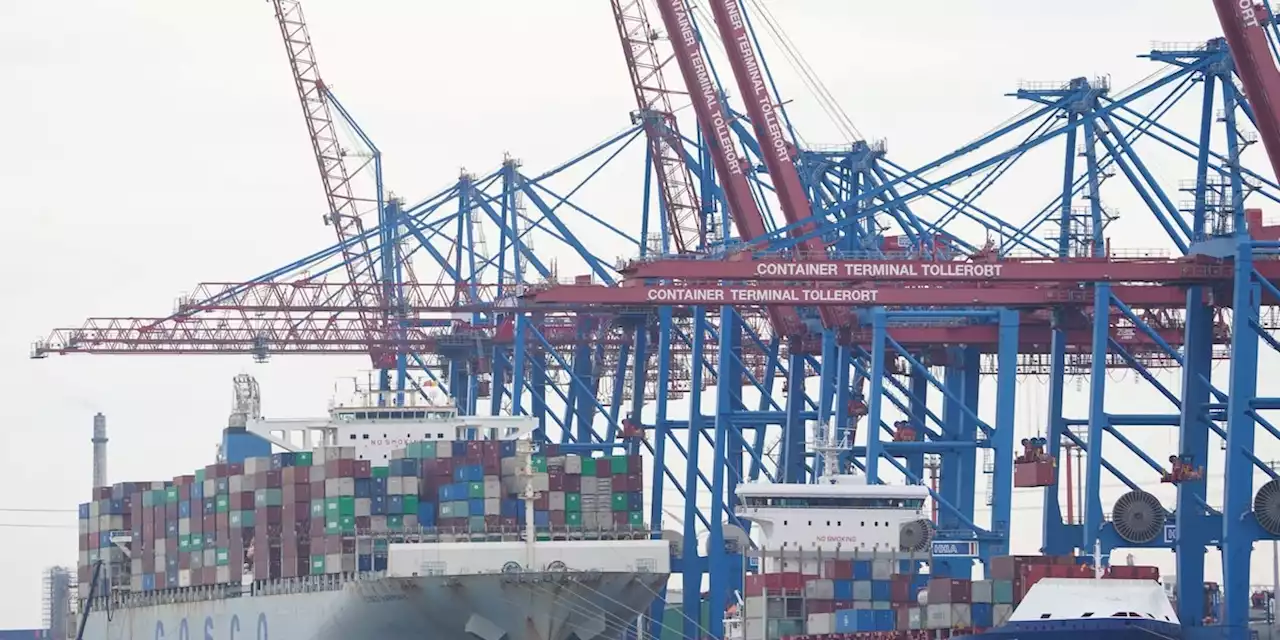 Jetzt schaltet sich China im Streit um Hamburger Hafen ein