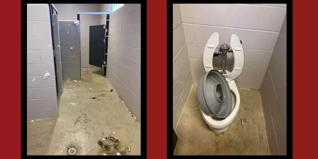 Streetsboro police search for alleged vandals after city park bathroom trashed