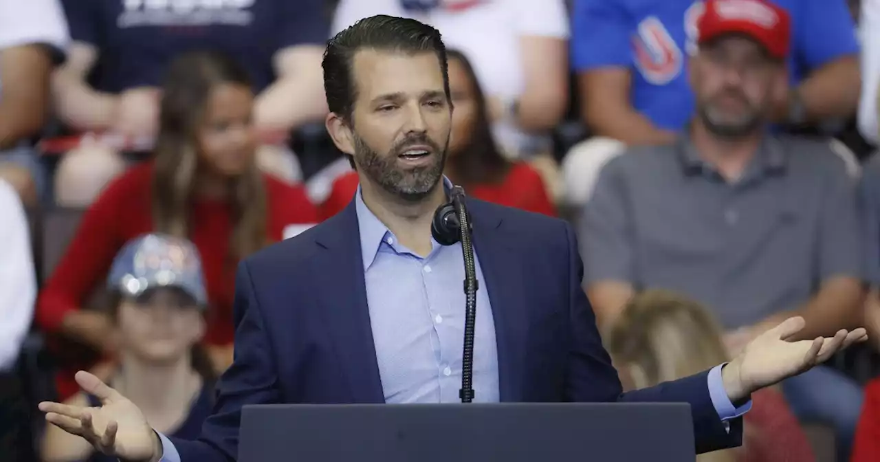 Don Jr. wades into House GOP whip race